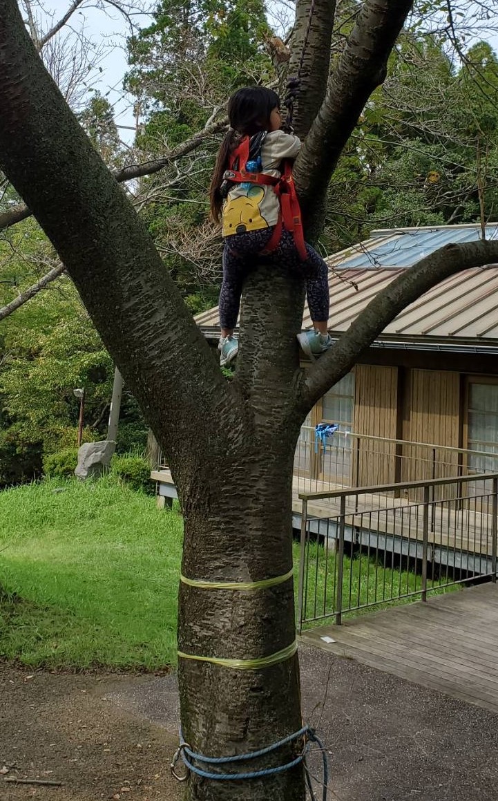 忍法 綱渡りの術 熊本県 阿蘇山のアウトドアアクティビティで遊びたい方への新着情報