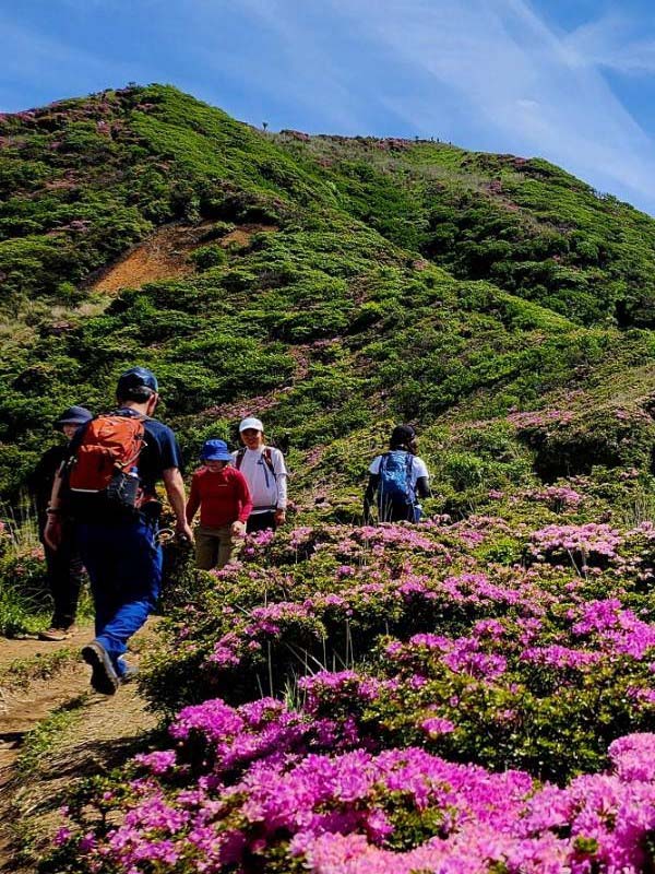 ボルケーノ・トレッキング【Volcane Trekking】1